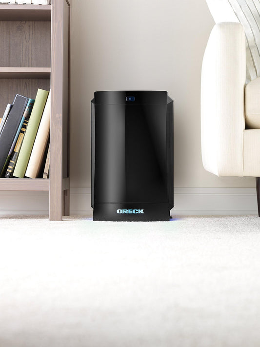 DualMax Air Purifier